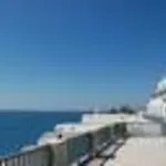 Alex 4*