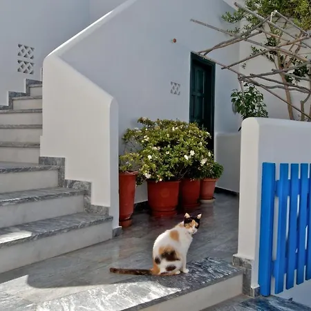 ξενοδοχείο 'αλεξ Ξενοδοχείο Τούρλος